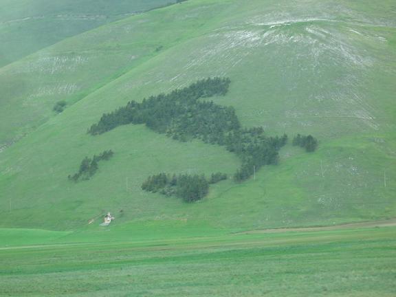 Castelluccio di Norcia  (Pg)